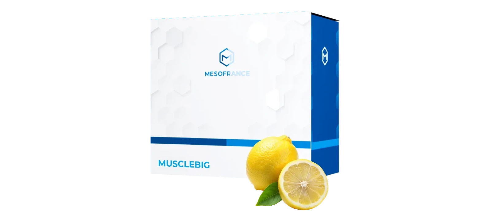 Cómo usar Muscle Big: guía de aplicación