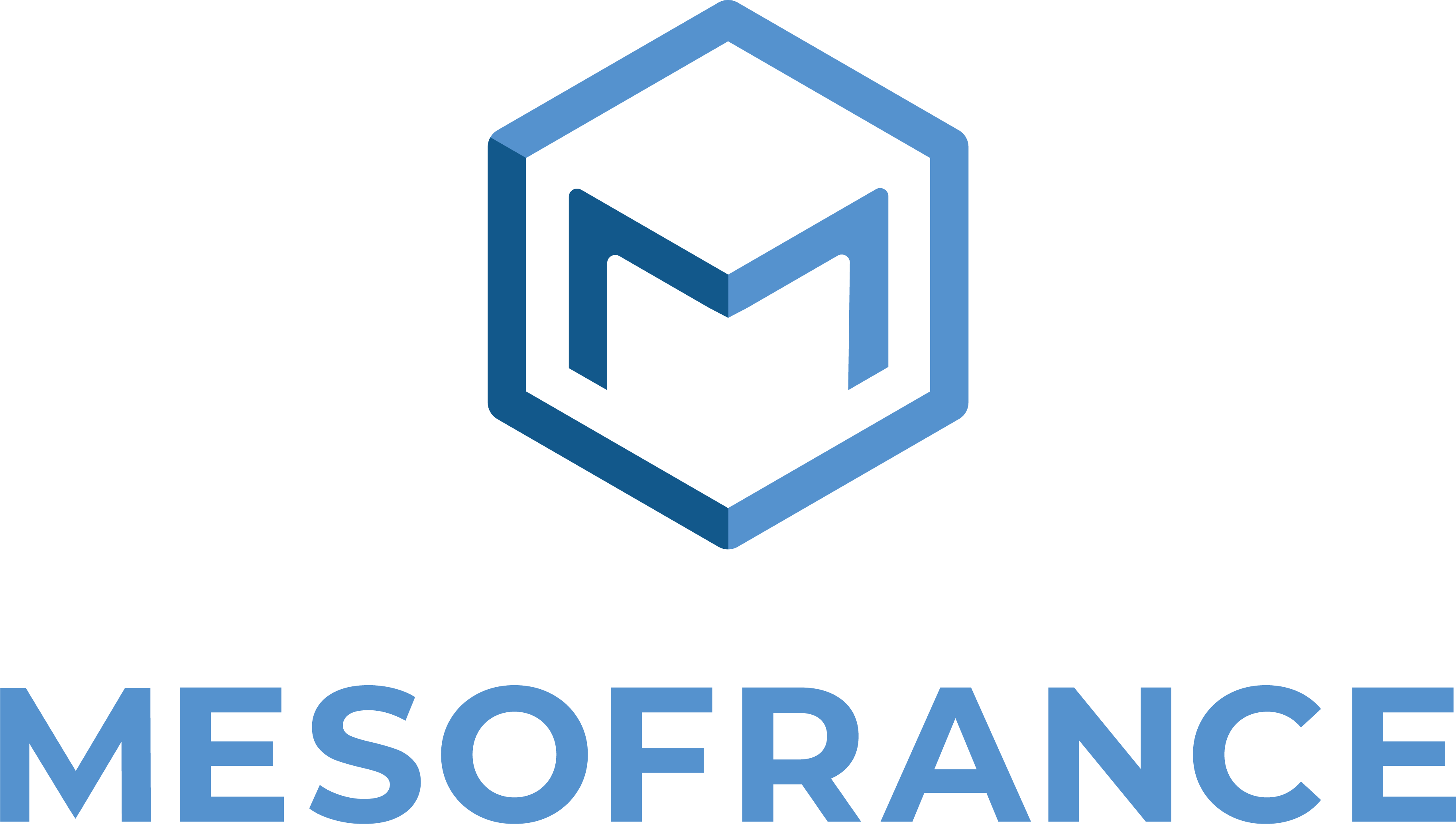 Mesofrance