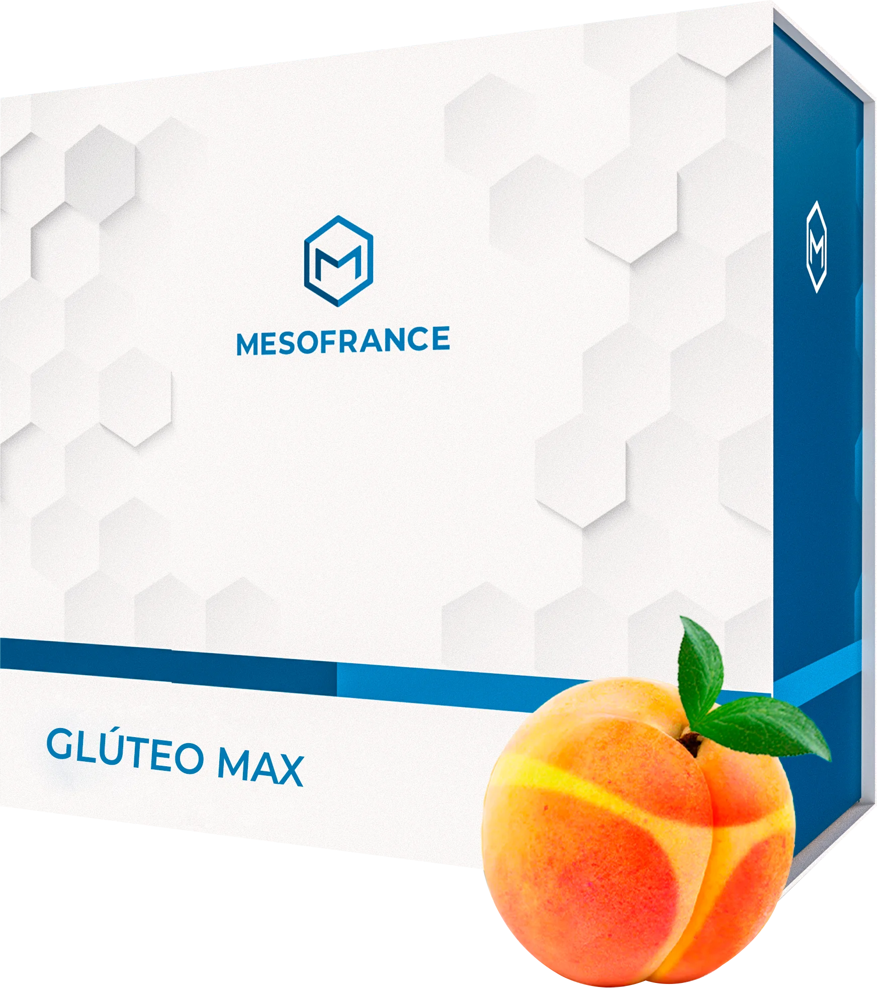 Glúteo Max